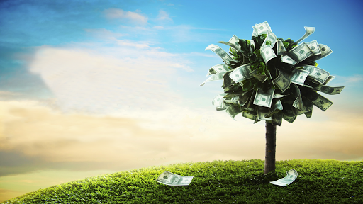 The Pawn Box at Aliana, 7120 FM 1464, Richmond, TX 77407, USA, 