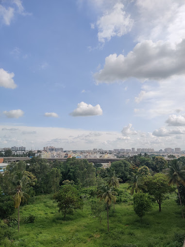 Google Maps image 22