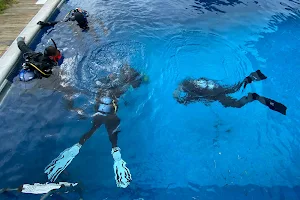 AZZURRO - Dive Academy | Azores, Dive School, Dive Center, Dive Professional Courses image