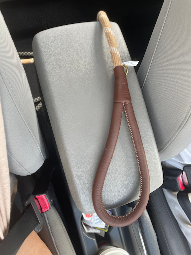 Pet Supply Store «Petco Animal Supplies», reviews and photos, 1121 5th St, Miami Beach, FL 33139, USA