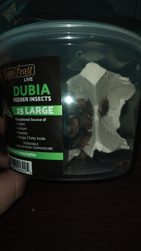 Pet Supply Store «Pet Supplies Plus», reviews and photos, 7467 St Andrews Rd, Irmo, SC 29063, USA