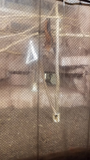 Zoo «Riverbanks Zoo and Garden», reviews and photos, 500 Wildlife Pkwy, Columbia, SC 29210, USA