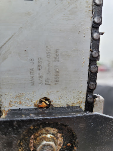 Home Improvement Store «The Home Depot», reviews and photos, 25451 Michigan Ave, Dearborn Heights, MI 48125, USA