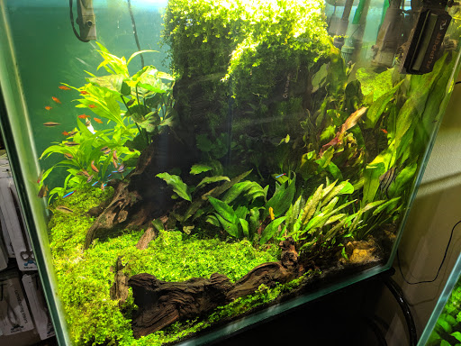 Pet Supply Store «New Wave Aquaria», reviews and photos, 14100 23rd Ave N, Minneapolis, MN 55447, USA