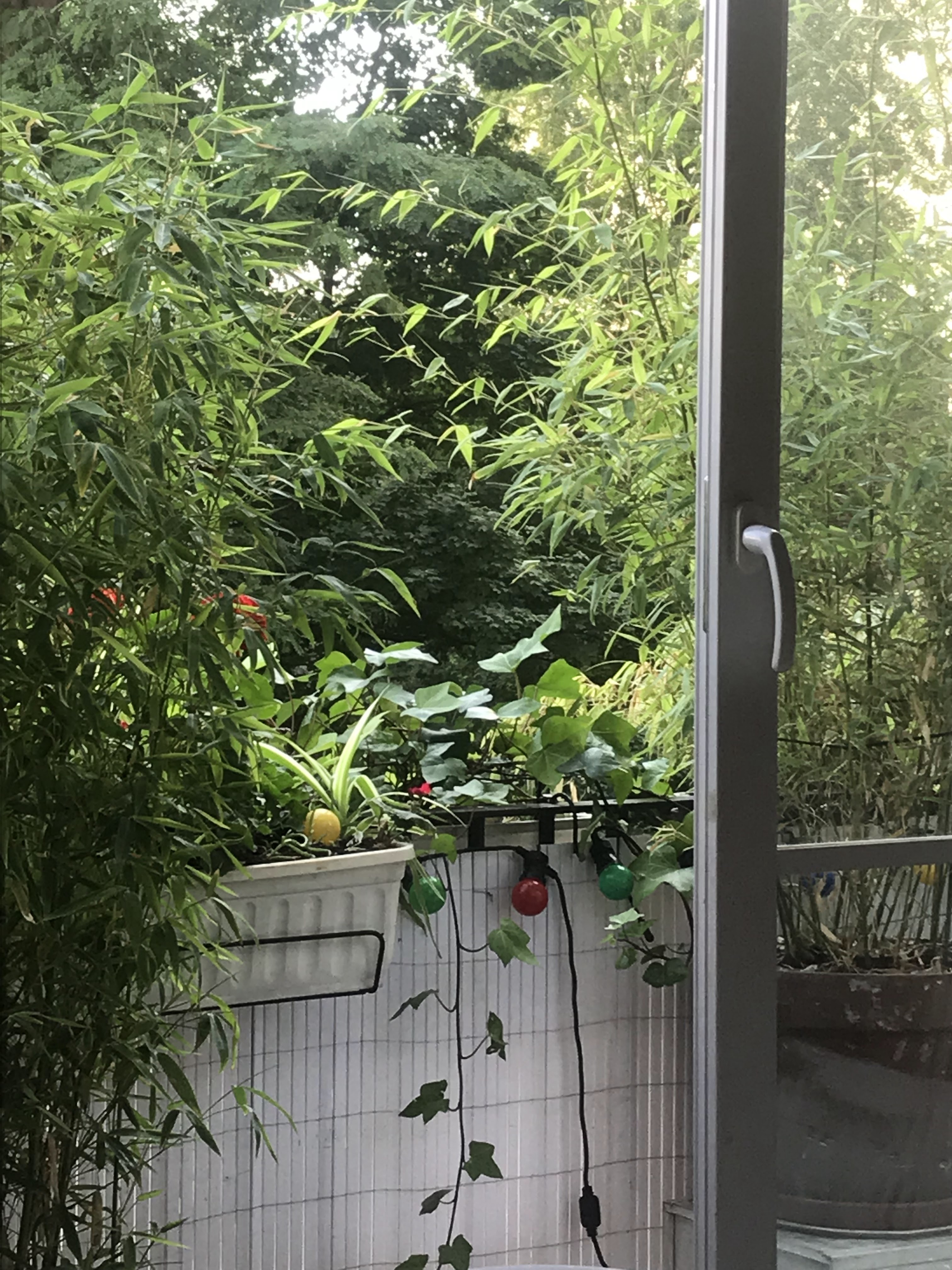 Photo n° 1 de l'avis de Noella.a fait le 21/11/2019 à 10:03