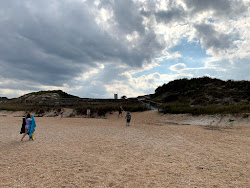 Guana Reserve beach'in fotoğrafı vahşi alan