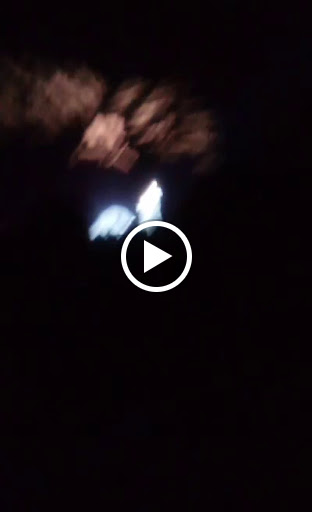 Performing Arts Theater «The Fox Theatre», reviews and photos, 660 Peachtree St NE, Atlanta, GA 30308, USA