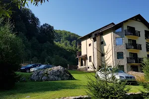 Casa Valea Cernei - Băile Herculane image