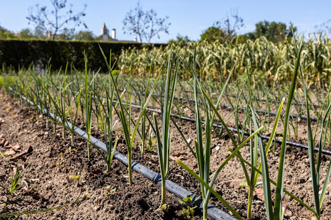 QSF - Quinta da Sagrada Família AgroTurismo Horário de abertura