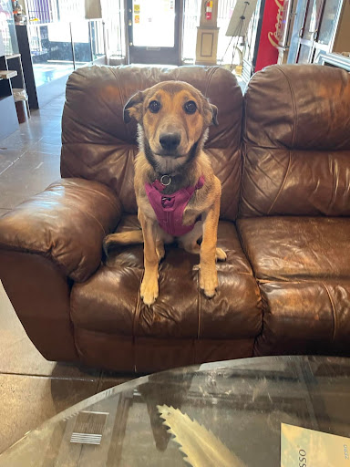 Vaporizer Store «Burnin Earth Smoke Shop», reviews and photos, 103 W Foothill Blvd, Monrovia, CA 91016, USA