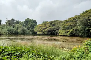 Agasanakere Lake image