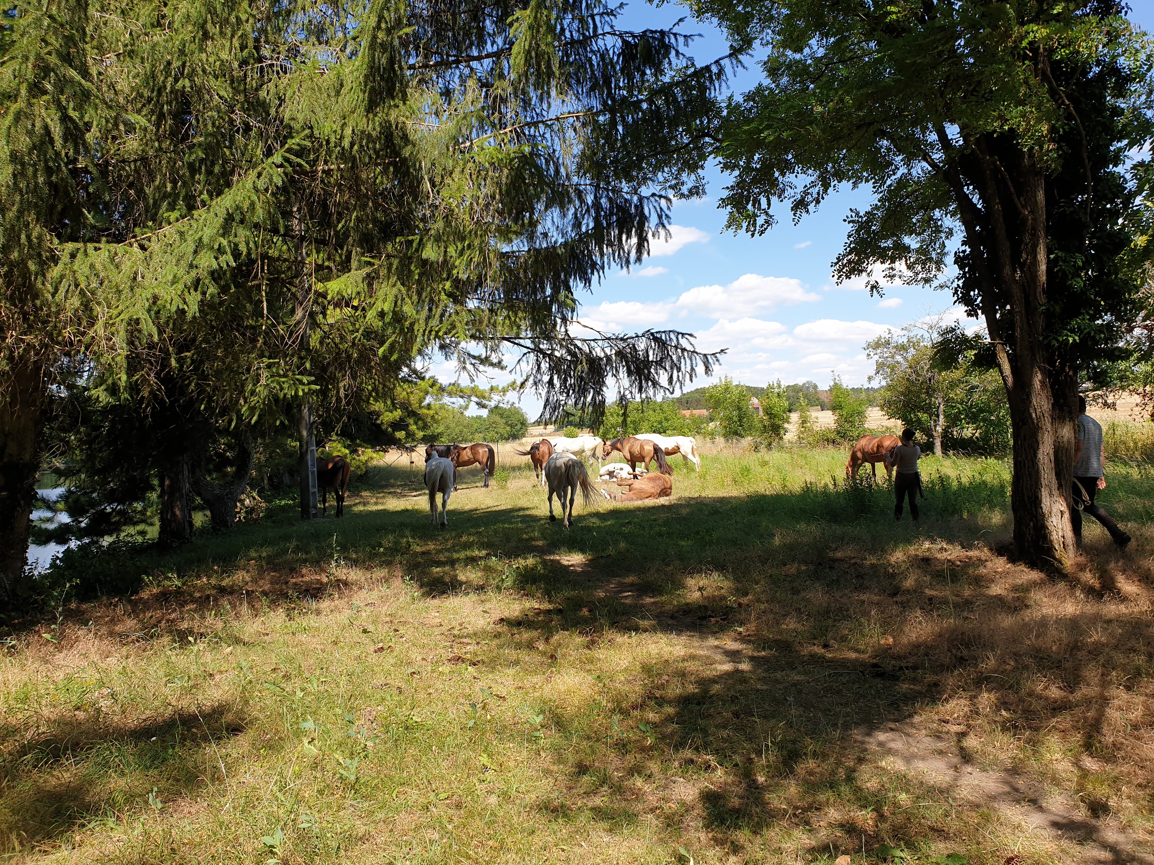 Photo n° 1 de l'avis de Agnès.h fait le 26/07/2020 à 17:16