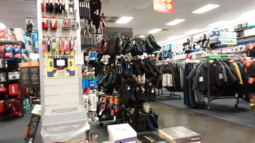 Sporting Goods Store «Big 5 Sporting Goods», reviews and photos, 12801 W Bell Rd #125, Surprise, AZ 85378, USA