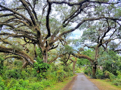 Pine Island Ridge Natural Area