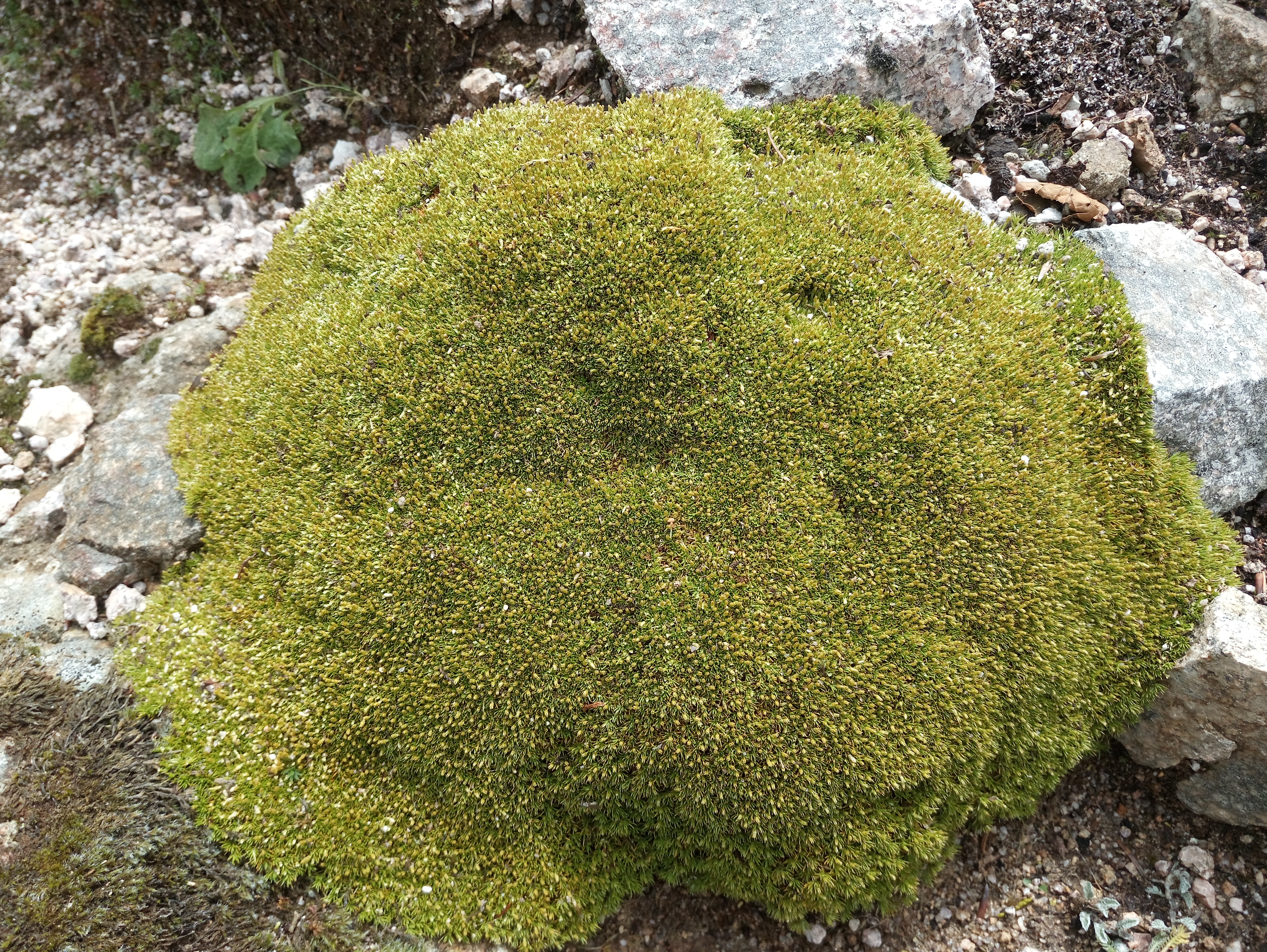 Photo n° 4 de l'avis de Pascal.a fait le 31/07/2019 à 06:36