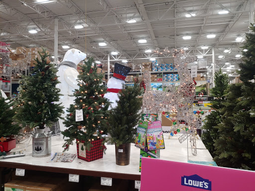 Lowes Home Improvement image