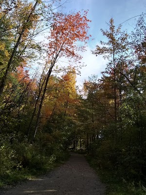 Rossetti Natural AreaThayer Beach Parking Lot - photo 32