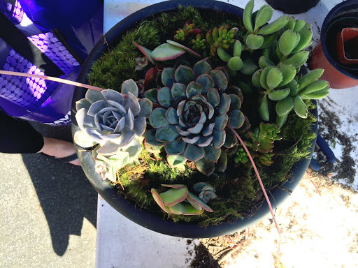 Hardware Store «San Andres Hardware», reviews and photos, 635 W Micheltorena St, Santa Barbara, CA 93101, USA