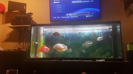 Pet Supply Store «Pet Supplies Plus», reviews and photos, 585 Moseley Rd, Fairport, NY 14450, USA