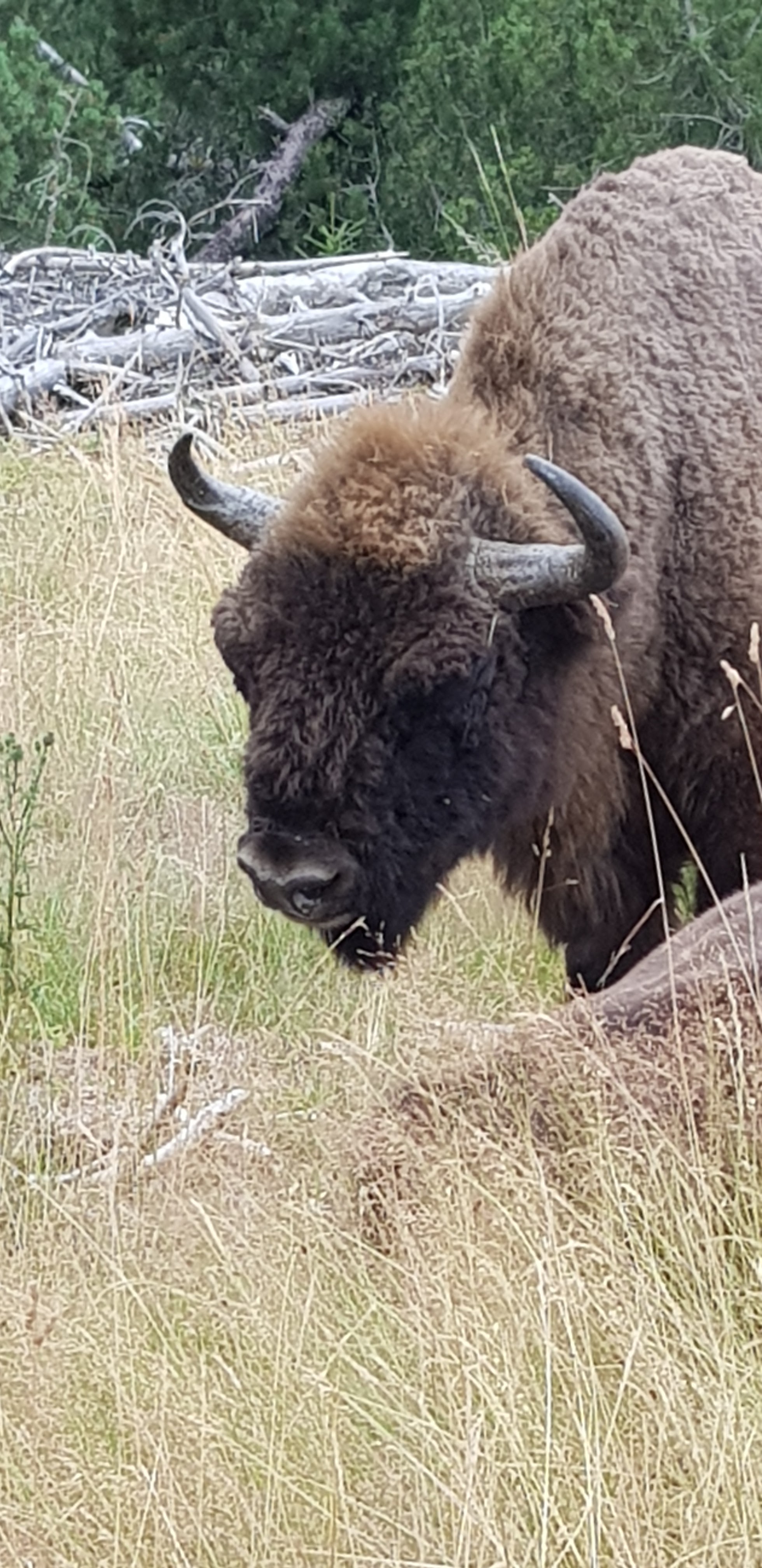 Photo n° 2 de l'avis de J.e fait le 02/08/2020 à 11:01