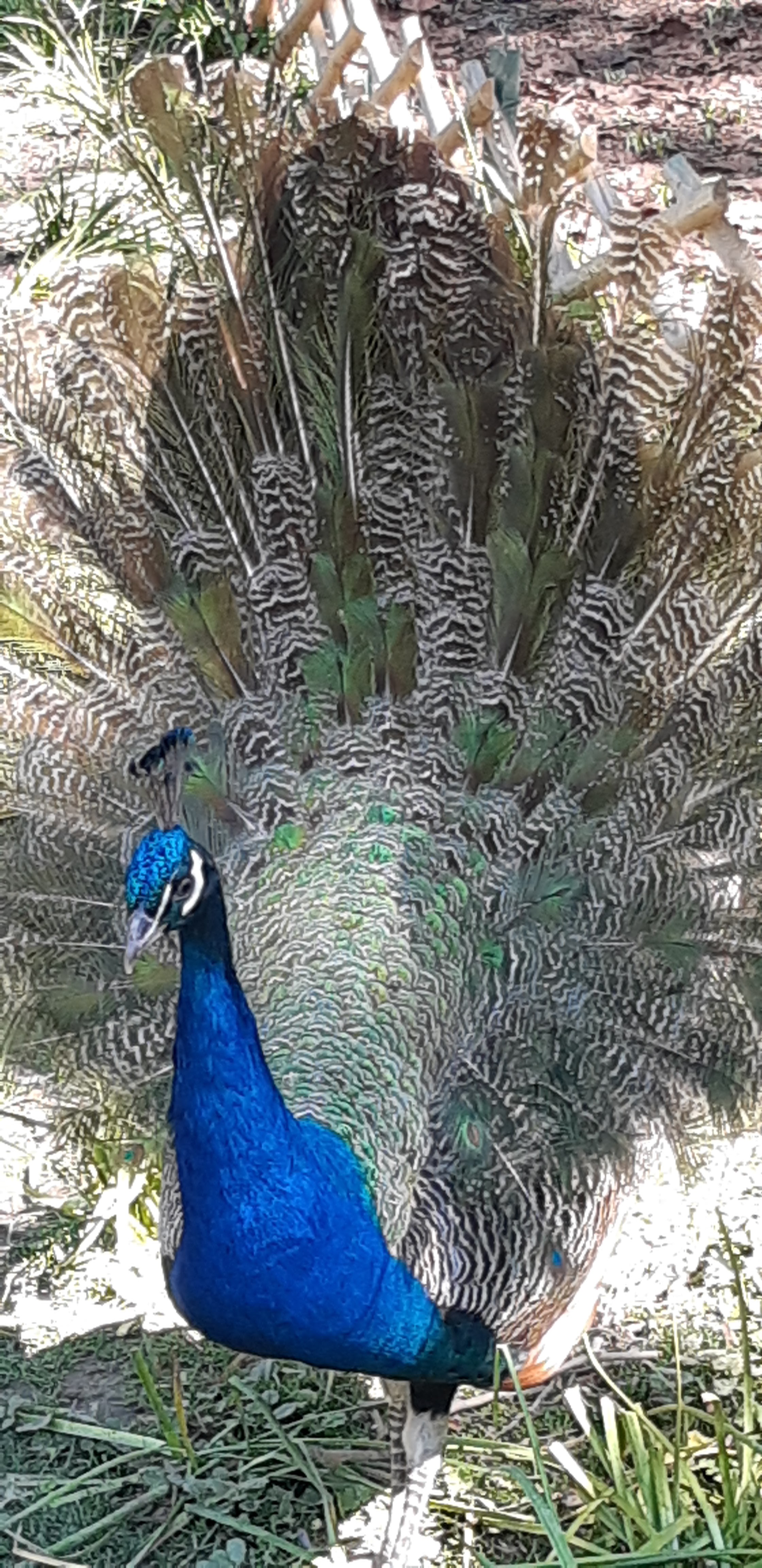 Photo n° 14 de l'avis de ANGÉLIQUE.A fait le 16/05/2019 à 10:37