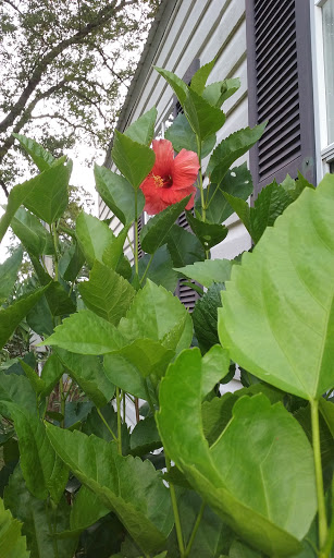 Park «Deerhaven Park», reviews and photos, 2812 Co Rd 2321, Panama City, FL 32409, USA