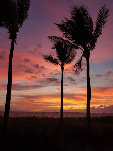 Park «El Prado Park», reviews and photos, 4500 El Mar Dr, Lauderdale-By-The-Sea, FL 33308, USA