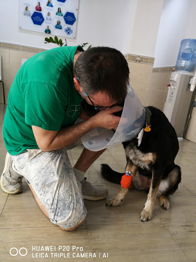 Malaga Veterinary Emergency Center (Urvemace) en Málaga