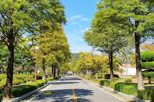 Kunsan National University image