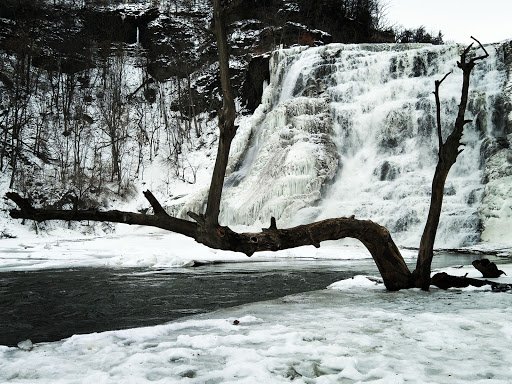 Nature Preserve «Ithaca Falls Natural Area», reviews and photos, Lake St, Ithaca, NY 14850, USA