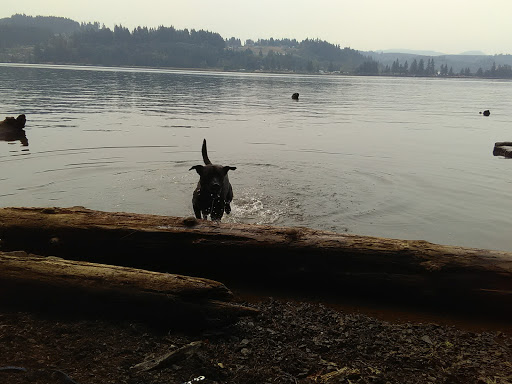 Inn «Country Star RV Park», reviews and photos, 6281 US-20, Foster, OR 97345, USA