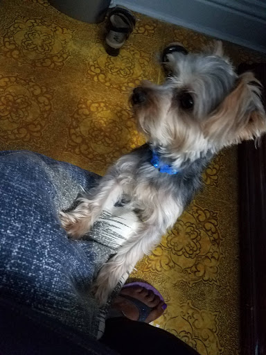 Pet Supply Store «Petco Animal Supplies», reviews and photos, 10235 Indianapolis Blvd, Highland, IN 46322, USA