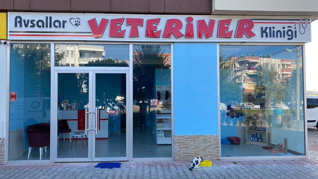 Avsallar Veteriner Klinii Kleintierpraxis Pet Clinic