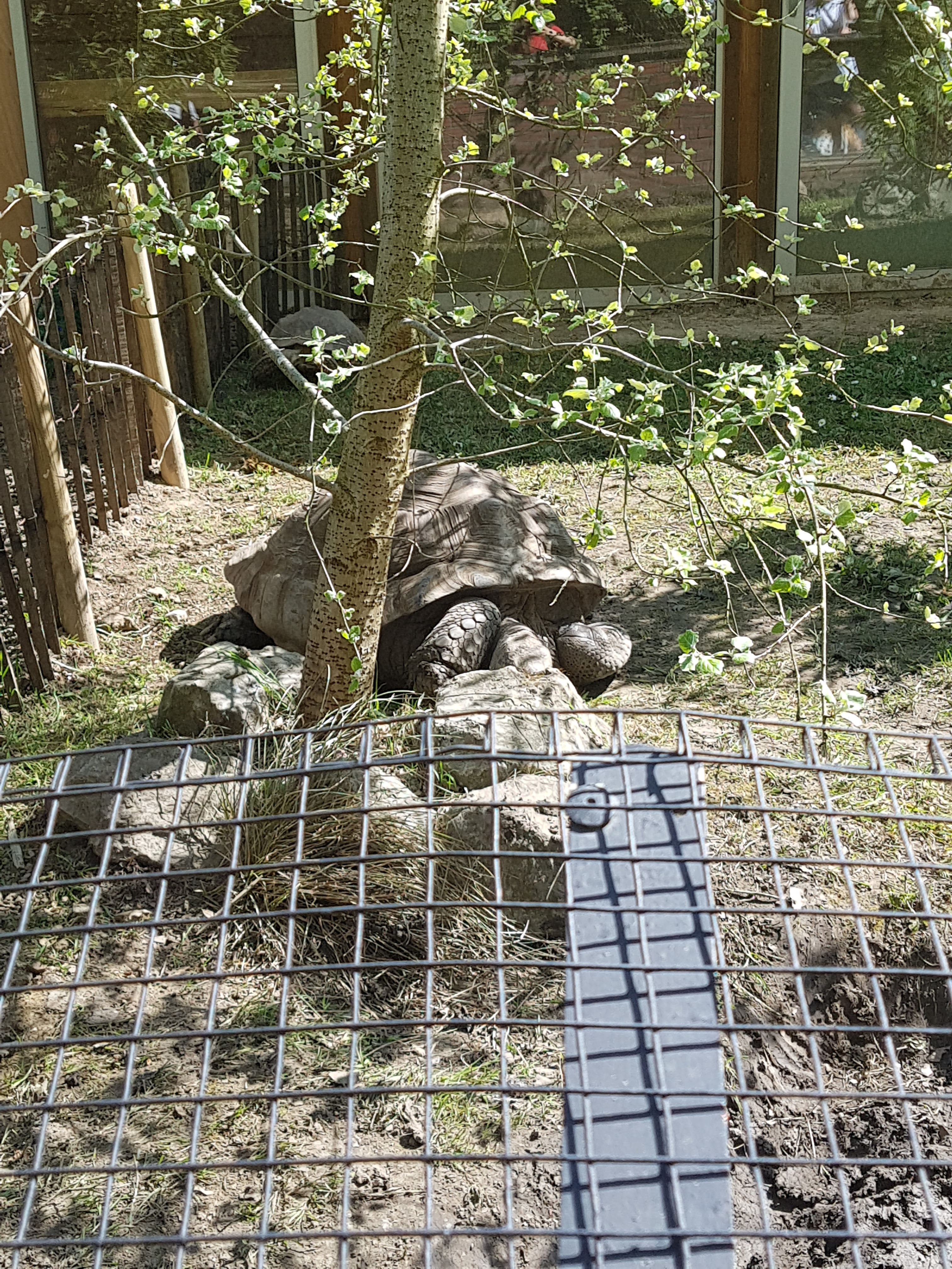 Photo n° 39 de l'avis de Celia.a fait le 30/04/2019 à 08:20