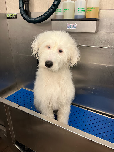 Pet Supply Store «Pet Supplies Plus», reviews and photos, 1031 Northwest Hwy, Garland, TX 75041, USA