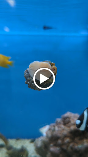 Pet Supply Store «Petco Animal Supplies», reviews and photos, 2001 15th Ave W b, Seattle, WA 98119, USA