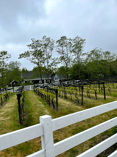Winery «Truro Vineyards + South Hollow Spirits», reviews and photos, 11 Shore Rd, North Truro, MA 02652, USA