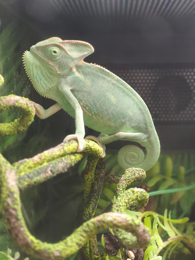 Pet Supply Store «PetSmart», reviews and photos, 1410 NE 23rd St, Pompano Beach, FL 33062, USA