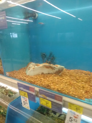 Pet Supply Store «PetSmart», reviews and photos, 21 Trader Ln, Williston, VT 05495, USA