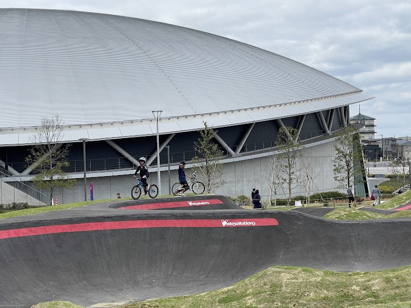 PIST6 PUMPTRACK CHIBA