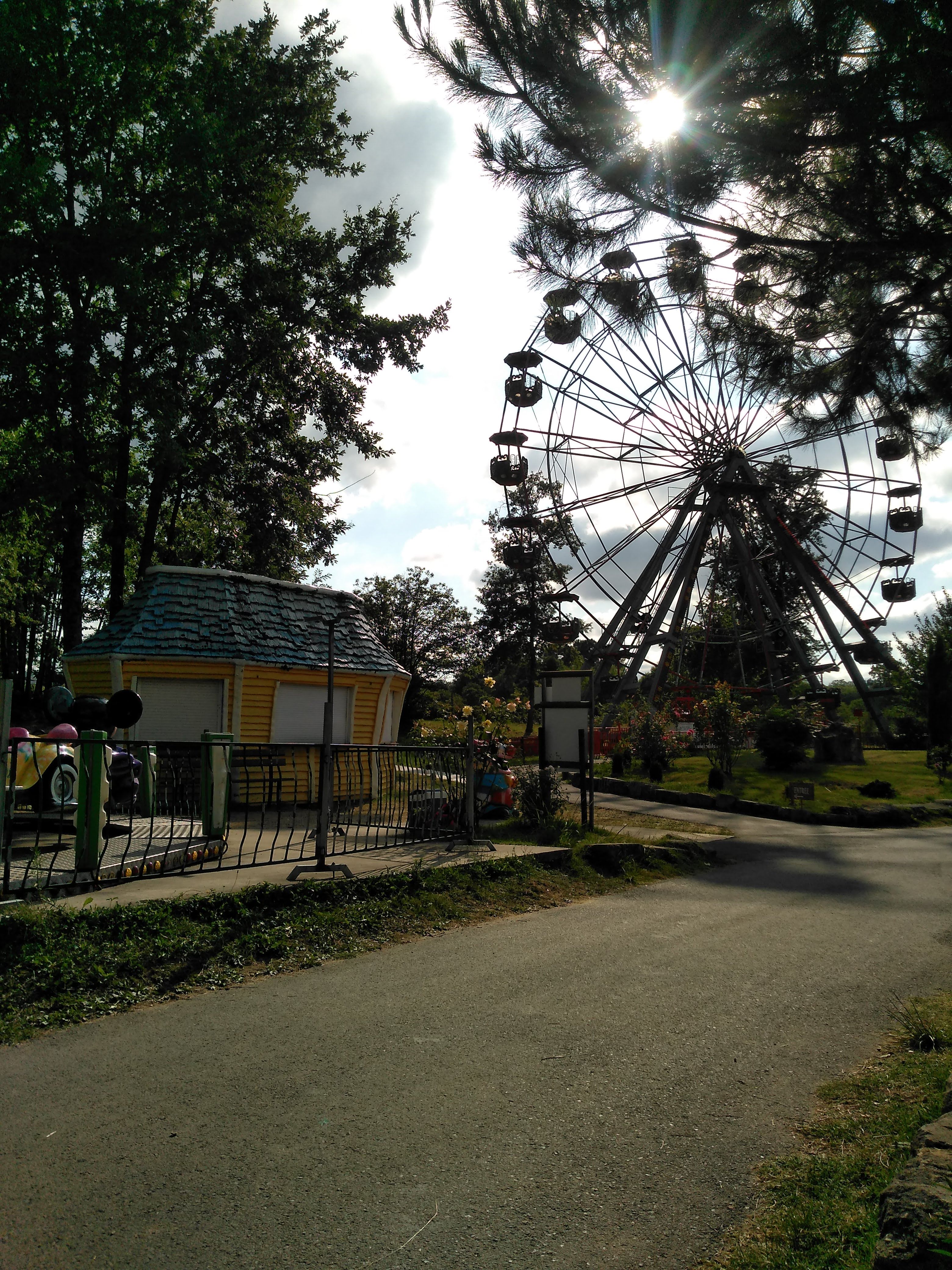 Photo n° 1 de l'avis de bucheron.l fait le 06/08/2019 à 13:21
