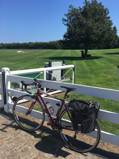 Grocery Store «Katama General Store», reviews and photos, 170 Katama Rd, Edgartown, MA 02539, USA