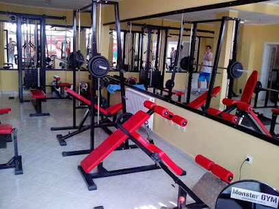 Adrenalin Gym - Veselina Masleše 38a, Novi Sad, Serbia