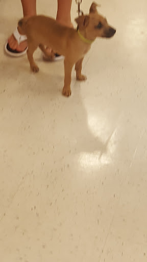 Pet Supply Store «PetSmart», reviews and photos, 30 Malphrus Rd, Bluffton, SC 29910, USA