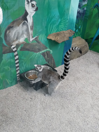 Pet Store «Incredible Pets Inc», reviews and photos, 2255 N Wickham Rd # 102, Melbourne, FL 32935, USA