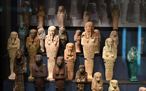 Petrie Museum of Egyptian Archaeology image