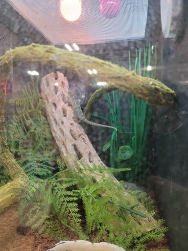 Pet Supply Store «PetSmart», reviews and photos, 1919 Wells Rd, Orange Park, FL 32073, USA