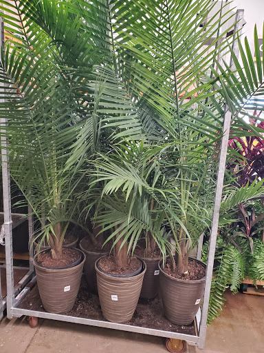 Home Improvement Store «The Home Depot», reviews and photos, 2731 Hartigan Rd, Ingleside, IL 60041, USA