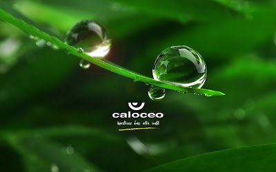 CALOCEO Marseille - Centre de Santé Naturelle à Marseille