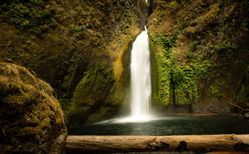 Tourist Attraction «Wahkeena Falls», reviews and photos, Wahkeena Trail #420, Corbett, OR 97019, USA